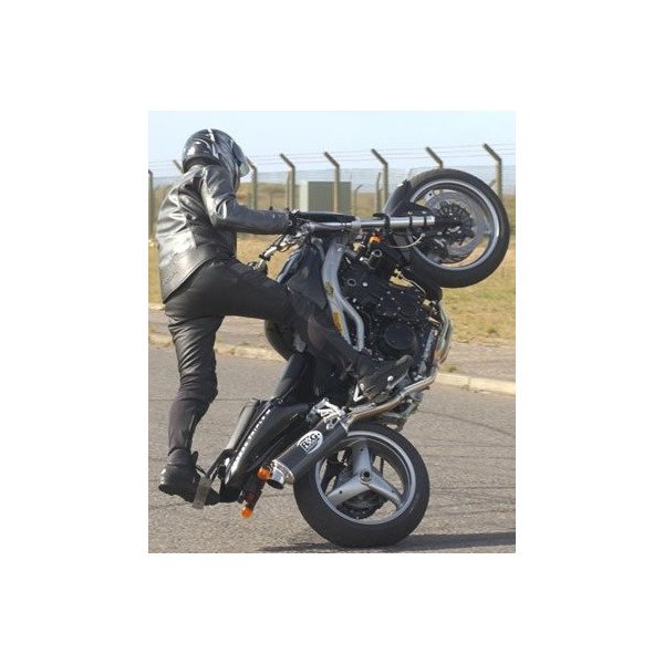 R&G SPEED TRIPLE MUSHROOMS